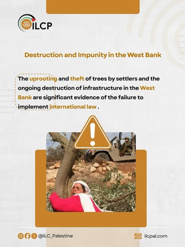 lands and olive trees